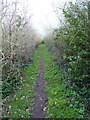 The bridleway leading to Lower Drayton in Penkridge North & Acton Trussell Ward
