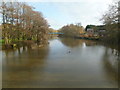 Blandford Forum, River Stour in DT11 9LH