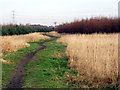 Pathway towards Jubilee Wood in L31 8BX