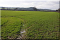 Arable land in the Wye valley in HR3 6EJ