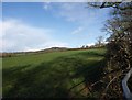 Field by Summerhayes Farm in EX14 3ET