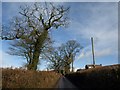 Lane past Summerhayes Farm in EX14 3ET