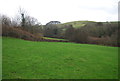 Farmland near Foxhole Coppice in DT2 9HS