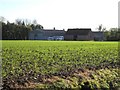 Manor Farm in IP25 6TA