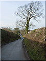 The lane into Great Lyth in SY5 8AN