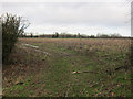 Field off Thornham Road in IP26 4RQ