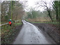 Muddy Road in South East Cosford Ward