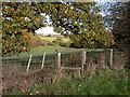 Stile on a footpath to the west of Upper Sapey in WR6 6XR