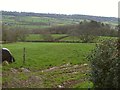 Pasture fields above the Otter in EX14 4TR
