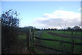 Fence by the bridleway in ME15 0LX