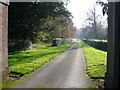 Main drive to Charborough House in DT11 9EN