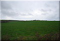 Farmland near Lower Kingston Russell Cottages in DT2 9HR