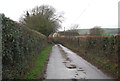 Lane to Long Bredy Farm in DT2 9HP