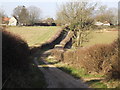 Tinker's Lane, South of Bentworth in GU34 5LE