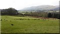 Pasture, Mains of Blairingone in FK14 7LR
