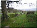 Bridleway and public footpath south of Cae-gwyn in LL17 0UL