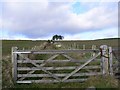 Gate on the Cateran Trail in PH11 8LL