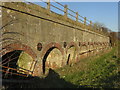 Row of floodwater relief arches at  Bere Marsh in DT11 8DZ