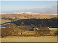 The valley of the River South Tyne east of Harbut Law in CA9 3BD