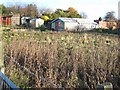 Derelict allotments at Trimdon Colliery in TS29 6LQ