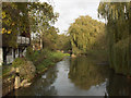 The River Loddon in RG5 4FF