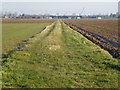 Grass track over the Allotment Gardens, Sutton Bridge in PE12 9QA