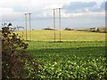 Field near Dalton Piercy in Dalton Piercy