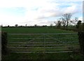 Gate and field westwards in LE17 5PL