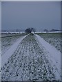 Snowy Field Near Ploughlands in TD10 6UJ