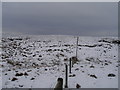 Lonely fence on Dun Hill in HD9 2QH