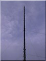 Preseli Mast in SA41 3QP