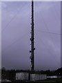 Lower part of Preseli mast in SA41 3QP