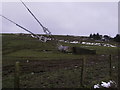 Preseli Mast anchor! in SA41 3QP