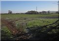 Pasture, Stoneyford in EX15 1NJ