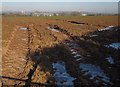 Rutted field entrance, Stoneyford in Stoneyford