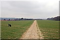Footpath to Dunk's Green in TN11 9RH