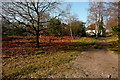Path towards Headley Down in GU35 8HA