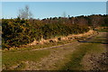 Track on Ludshott Common in GU35 8HA