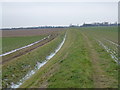 Foot path north of Bleak House Farm, Gedney Drove End in PE12 9NW
