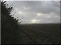 Ploughed field, south of Winchester Road in SP11 7JF
