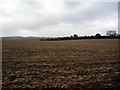 Ploughed field, north of Test Valley in SP11 7JF