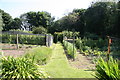 Vegetable garden, Drumblair House in AB54 6DH