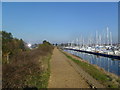 Lymington, Solent Way in SO41 3QD