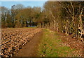Footpath past Raans Farm in HP5 1TS