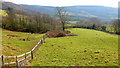Monmouthshire countryside in NP25 4JT
