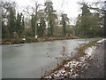 Raised section of Basingstoke canal in GU51 5NJ