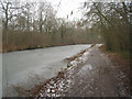 Basingstoke canal / Zebon Copse in GU51 5SG