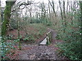 Footbridge In Holt Wood in BH21 4JN