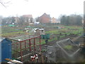 Tanyfron Allotments in LL11 5TX
