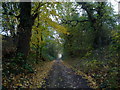 Lane leading down from Bearpark Hall in Bearpark